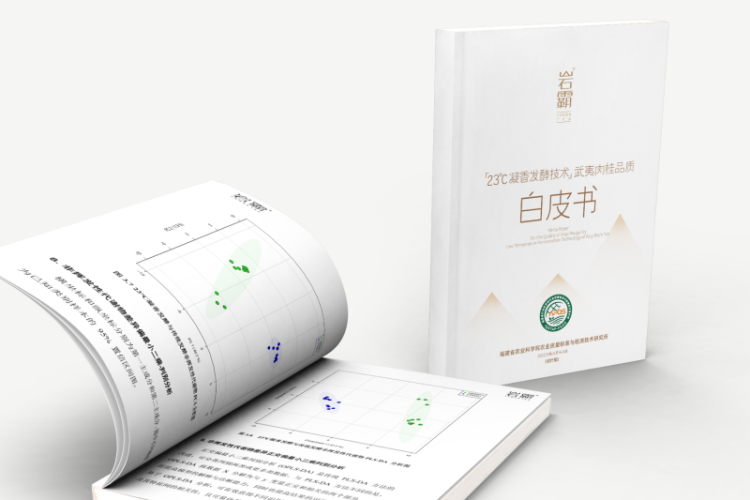 福建?武夷山兴田生态茶产业“以质突围”的科技密码_fororder_图片6