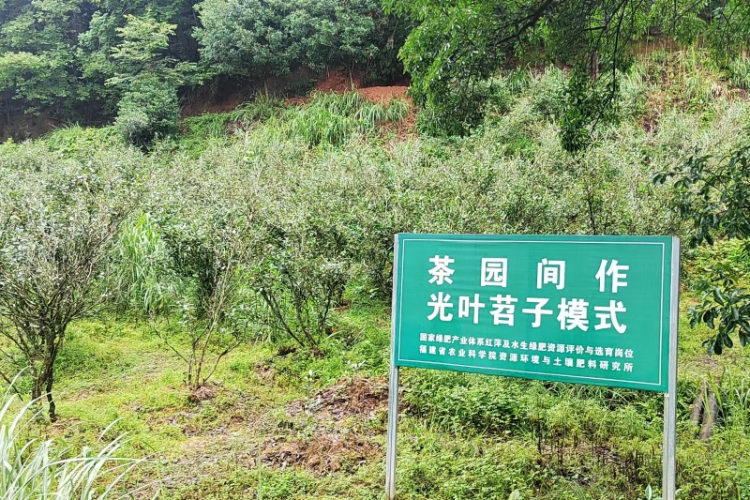 福建?武夷山兴田生态茶产业“以质突围”的科技密码_fororder_图片3